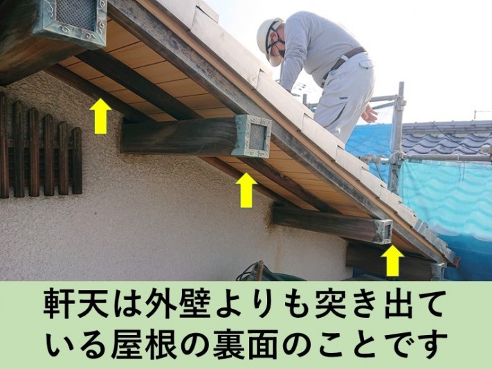 軒天