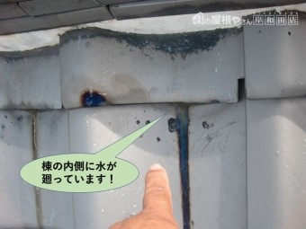 和泉市の棟の内側に水が廻っています