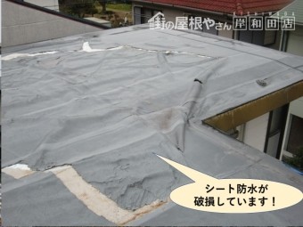 貝塚市の陸屋根のシート防水が破損しています