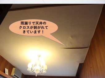 岸和田市の一階のお部屋の雨漏りで天井のクロスが剥がれてきています!