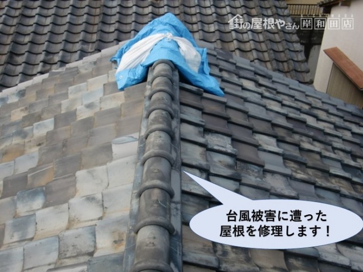 貝塚市の台風被害に遭った屋根の修理