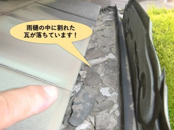 岸和田市で雨樋の中に割れた瓦が落ちています