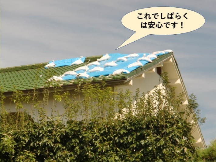 岸和田市の屋根の応急処置・これでしばらくは安心です!
