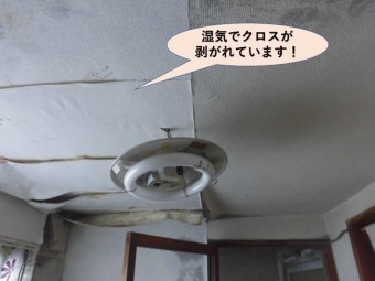 岸和田市の洗面所の天井が湿気で天井クロスが剥がれています
