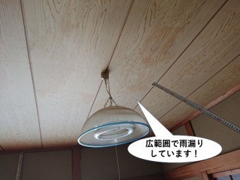 泉佐野市の天井の広範囲で雨漏りしています