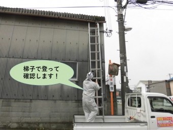 和泉市の工場で梯子で登って確認します!