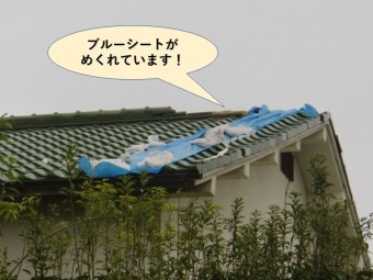 岸和田市の屋根のブルーシートがめくれています