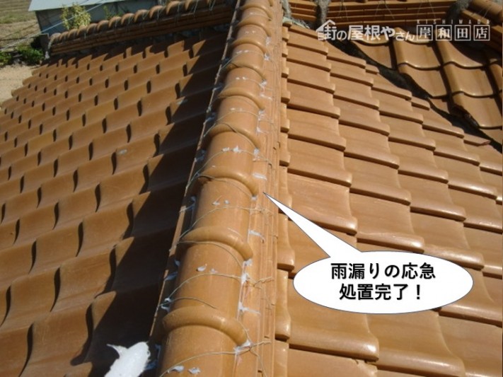 熊取町の雨漏りの応急処置完了