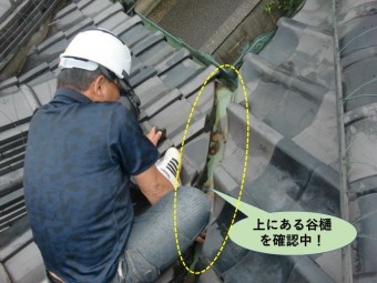 岸和田市の雨漏り箇所の上にある谷樋を確認中!