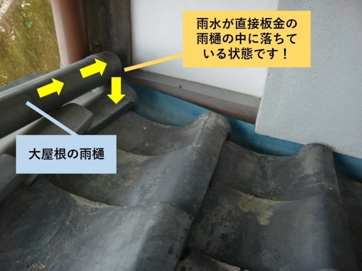 岸和田市の大屋根の雨水が直接雨樋の中に落ちています!