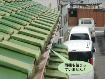 岸和田市の雨樋は詰まっていません