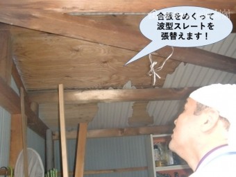 忠岡町の合板をめくって波型スレートを張替えます