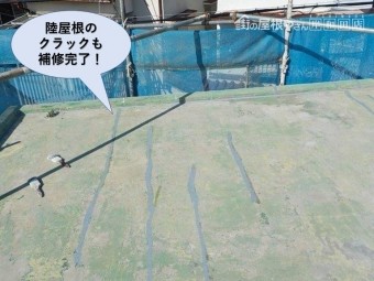 泉佐野市の陸屋根のクラックも補修