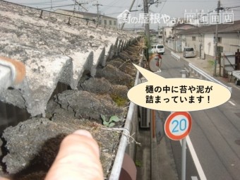 岸和田市の倉庫の樋の中に泥や苔が詰まっています