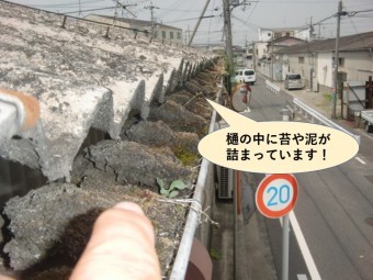 岸和田市の倉庫の樋の中に泥や苔が詰まっています