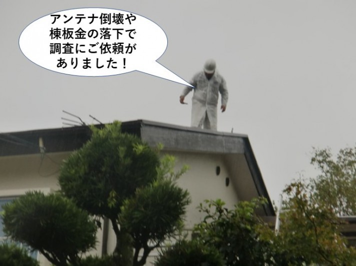 岸和田市のアンテナ倒壊や棟板金の落下で調査のご依頼がありました!