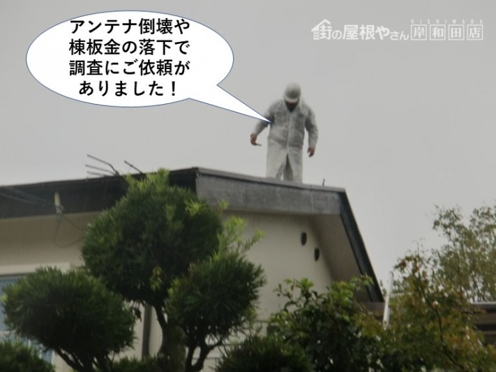 岸和田市のアンテナ倒壊や棟板金の落下で調査のご依頼がありました!