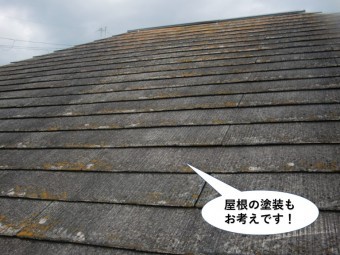 泉大津市の屋根の塗装もお考えです