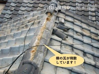 貝塚市の棟の瓦が飛散