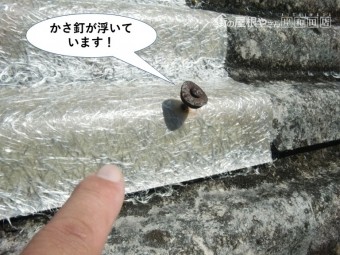 和泉市のスレートを留めているかさ釘が浮いています