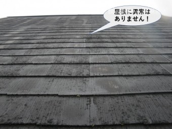 岸和田市の屋根に異常はありません