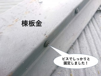 忠岡町の棟板金をビスでしっかりと固定しました