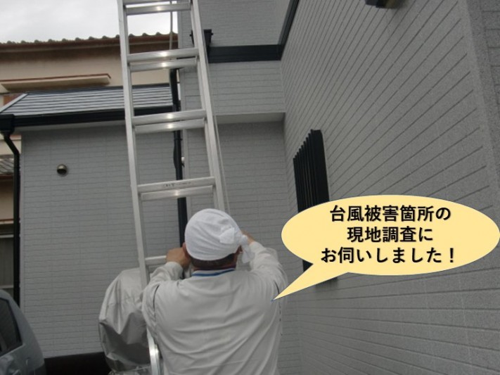 岸和田市の台風被害箇所の現調