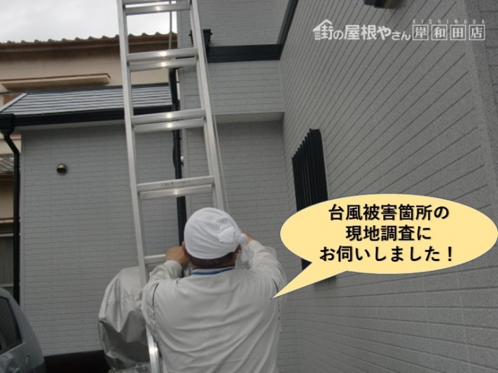 岸和田市の台風被害箇所の現調