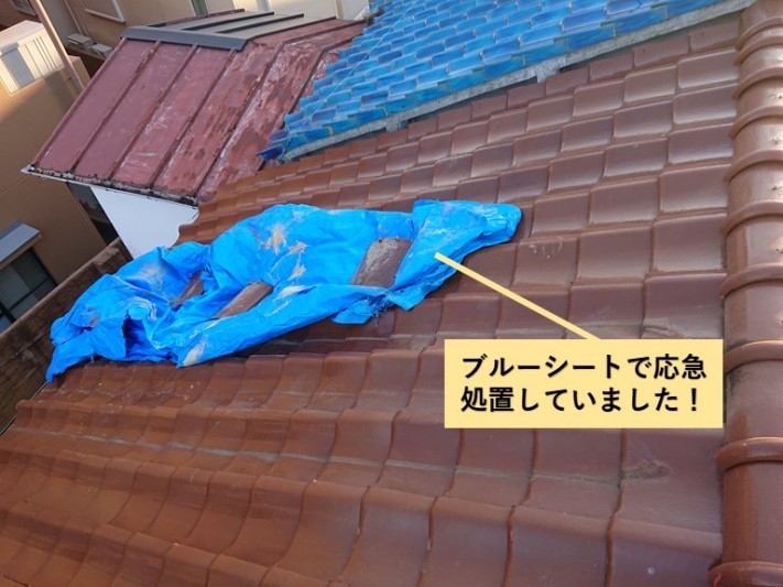 岸和田市の屋根をブルーシートで応急処置