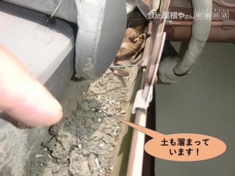岸和田市の軒樋に土も溜まっています