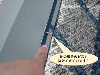 和泉市の他の板金のビスも抜けてきています
