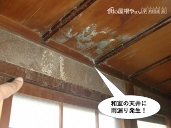 岸和田市の和室の天井に雨漏り発生