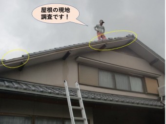 岸和田市の屋根の現地調査です