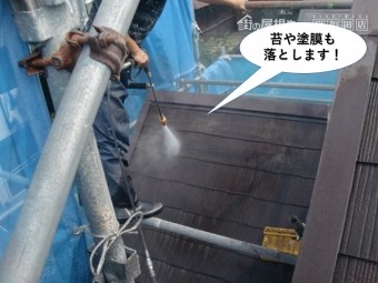 和泉市の苔や塗膜も落とします
