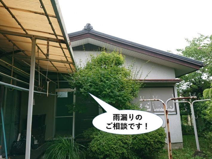 岸和田市の雨漏りのご相談