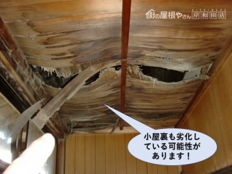 岸和田市の住宅の小屋裏も劣化している可能性あり!