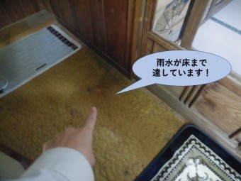 岸和田市の増築部で雨水が床まで達しています!