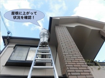 阪南市の屋根に上がって状況を確認!