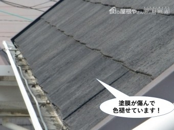 和泉市の屋根の塗膜が傷んで剥がれています