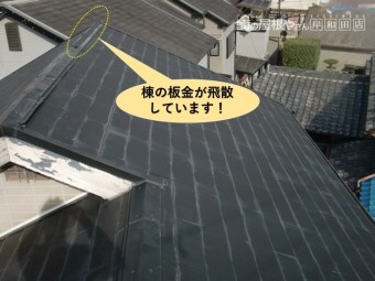 和泉市の棟の板金が飛散しています