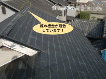 和泉市の棟の板金が飛散しています