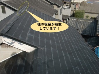 和泉市の棟の板金が飛散しています