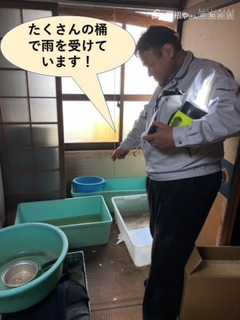 岸和田市でたくさんの桶で雨を受けています