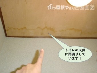 岸和田市のトイレの天井に雨漏りしています
