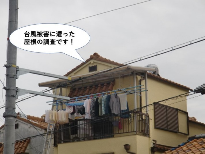 和泉市の台風被害に遭った屋根の調査