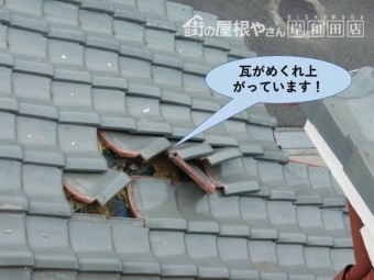 忠岡町の瓦がめくれ上がっています