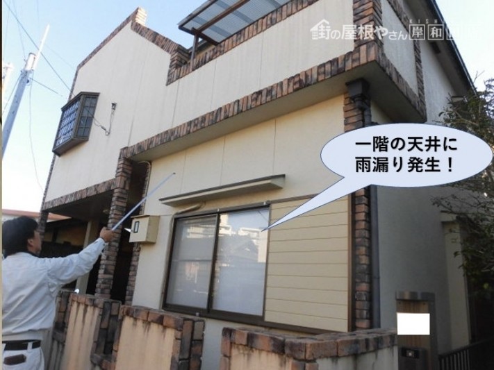 岸和田市の雨漏りの現地調査
