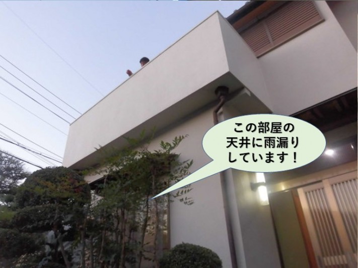 泉南郡熊取町の雨漏りの現地調査