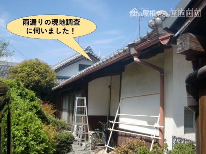 貝塚市の雨漏りの現地調査