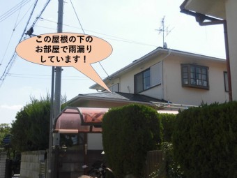岸和田市の雨漏りの現地調査